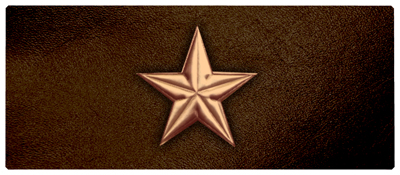 DNSEMP-L-430-CP-BR Star Copper-Brown